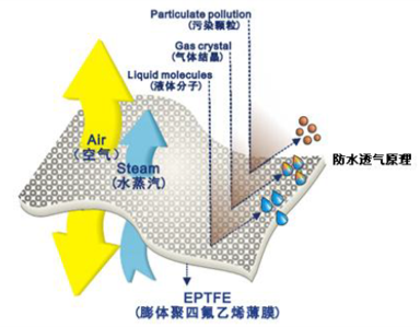 彩神vll官网-追求健康,你我一起成长
